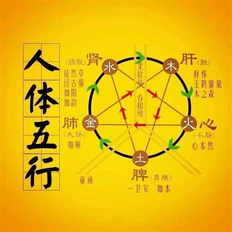 木火金水|五行生克（哲学理论）